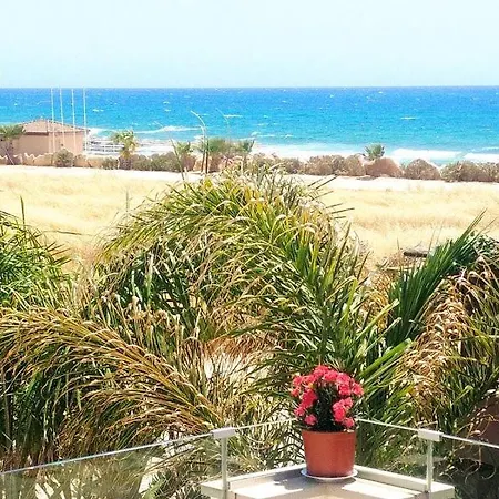 Beach Golden Palms Villa *